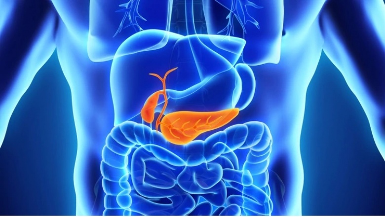 Las enzimas que podrían determinar las posibilidades de sobrevivir al cáncer de páncreas