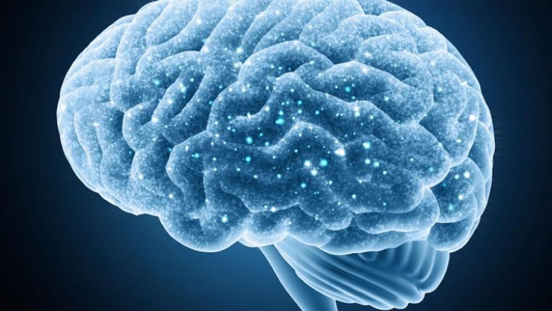 Científicos lograron la "resucitación" cerebral en cerdos 4 horas después de muerrtos