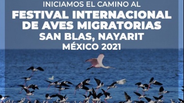 El Municipio de Río Grande participará por primera vez del Festival Internacional de Aves Migratorias