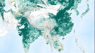 Un estudio de la NASA que muestra que la Tierra es "más verde" que hace 20 años