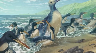 Hallaron fósiles del pingüino más grande que jamás haya existido