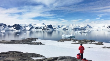 Hallazgo inédito: Encontraron animales en las profundidades de la Antártida