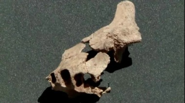 Extraordinario hallazgo en una cueva española: arqueólogos encontraron el rostro humano más antiguo de Euorpa