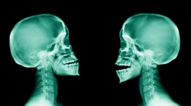 Descubrieron una nueva parte del cuerpo humano situada en la mandíbula