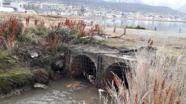 Investigadoras argentinas buscan bioindicadores de contaminación del agua en Ushuaia