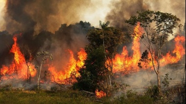 Incendios en la Amazonía: lo que se sabe de cómo se originaron los incendios que están causando estragos en la región