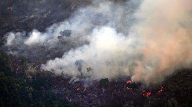 El humo de los incendios en la Amazonia llegará esta noche a la Argentina