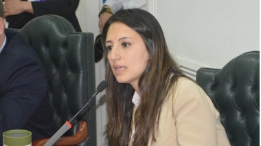 “Es urgente que el Ejecutivo envíe el paquete que anunciaron ellos mismos”, reclamó Laura Colazo