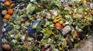 El 40% de los alimentos se tira a la basura a nivel mundial