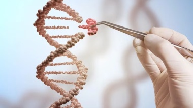 Edición genética con CRISPR: la revolución biotecnológica que promete transformar la alimentación mundial