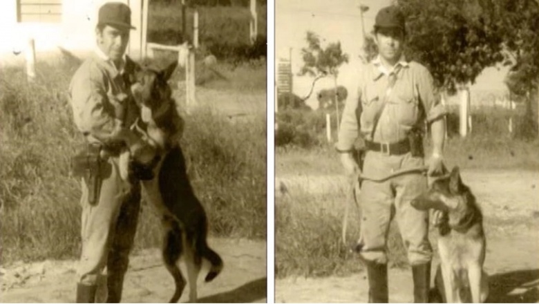 La trágica historia de Chonino, el ovejero alemán héroe por el que se celebra el Día Nacional del Perro