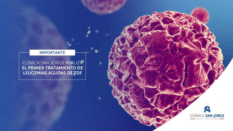 Primer tratamiento de Leucemia Aguda en TDF