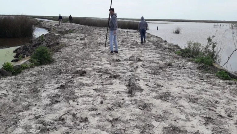 Así el calentamiento global afectará a la Argentina: desde pérdida de tierras costeras a falta de agua para riegos