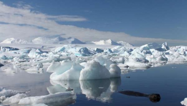 La crisis climática está aumentando el valor económico de los polos: cuidado con los oportunistas