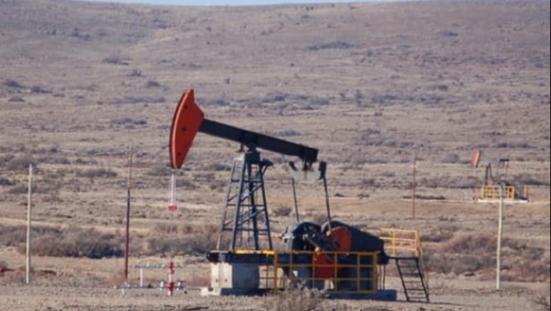 Sorpresa en Mendoza: hallan petróleo convencional en Vaca Muerta