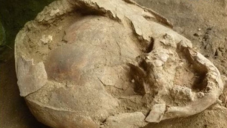 Ecuador: descubren cráneos de niños usados como cascos para bebés muertos hace 2100 años