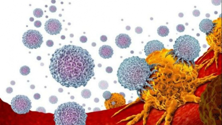 Cáncer de próstata: el innovador tratamiento que puede combatir uno de los tipos de cáncer más comunes entre los hombres