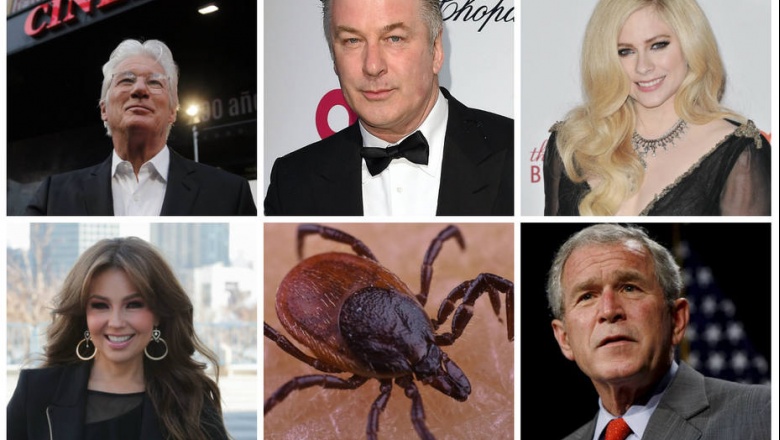 ¿Qué es la enfermedad de Lyme? La enfermedad que padecen Justin Bieber, Richard Gere y otros famosos