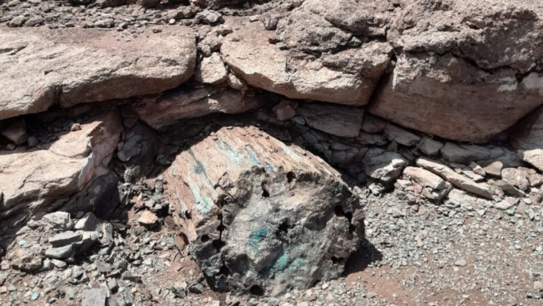Descubren bosque petrificado con un Georradar