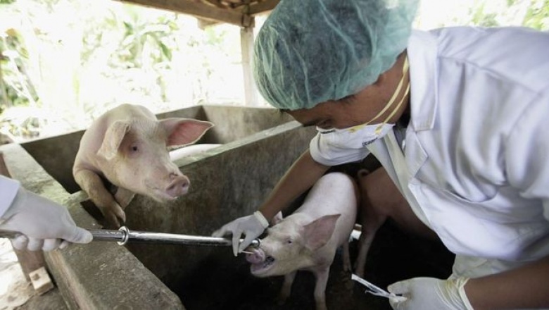 Coronavirus: cómo mutan los virus y cómo prevén los científicos que puede evolucionar el covid-19