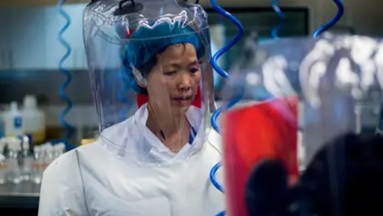La subdirectora del Instituto de Virología de Wuhan dijo que el coronavirus es “solo la punta del iceberg”
