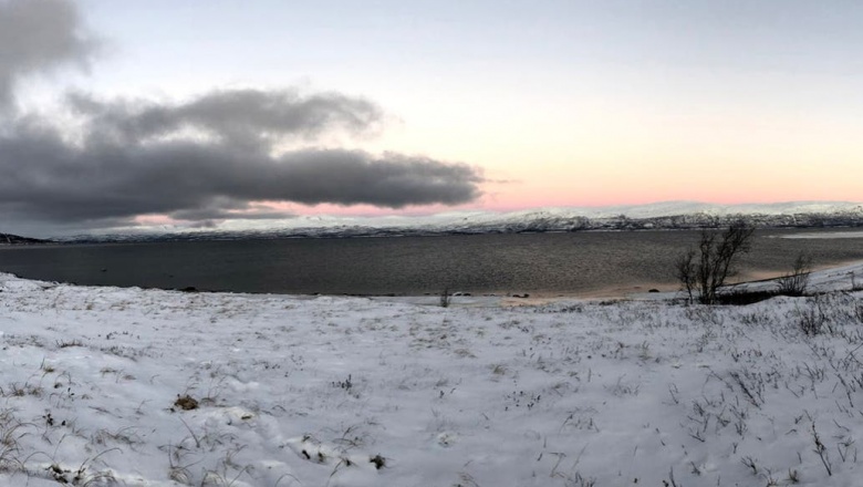 Récord histórico: se registró una temperatura de 38º en el Círculo Polar Ártico