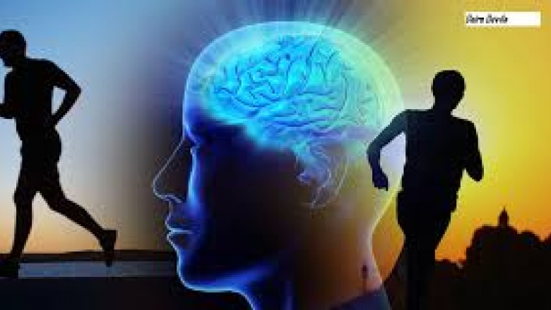 Cómo el ejercicio podría fortalecer el cerebro