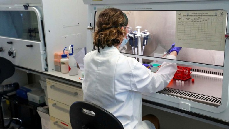 Qué es la mielitis transversa, la enfermedad por la cual se frenaron las pruebas de la vacuna de Oxford contra la COVID-19