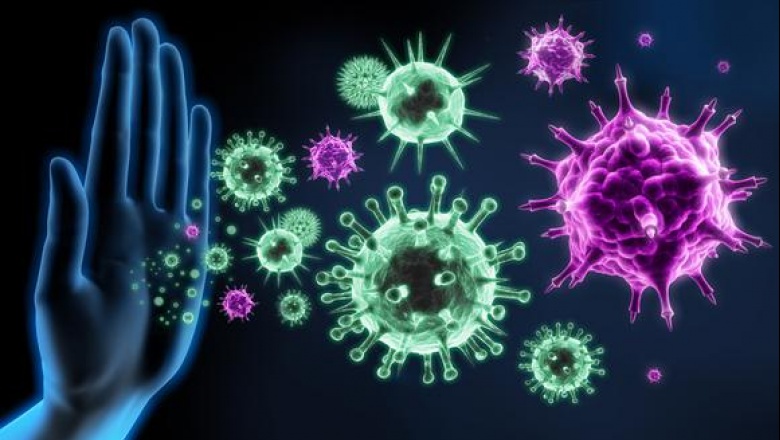 La inmunidad al coronavirus dura al menos cinco meses, según estudio