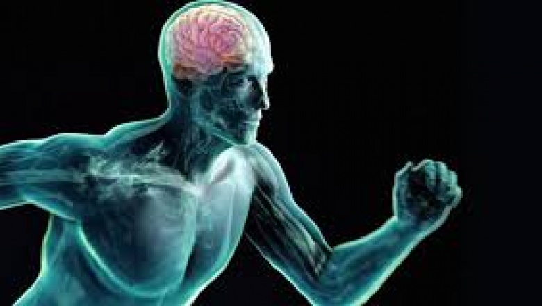 Cinco beneficios que aporta el ejercicio al llevar al cerebro al máximo de sus capacidades