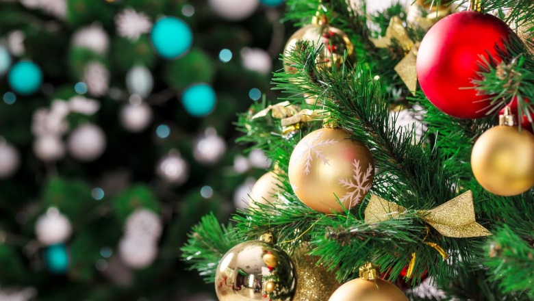 Dónde se montó el primer árbol de Navidad de la historia