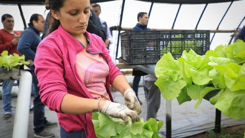 Este sábado en  Río Grande: "Gran Feria de Productores Locales"