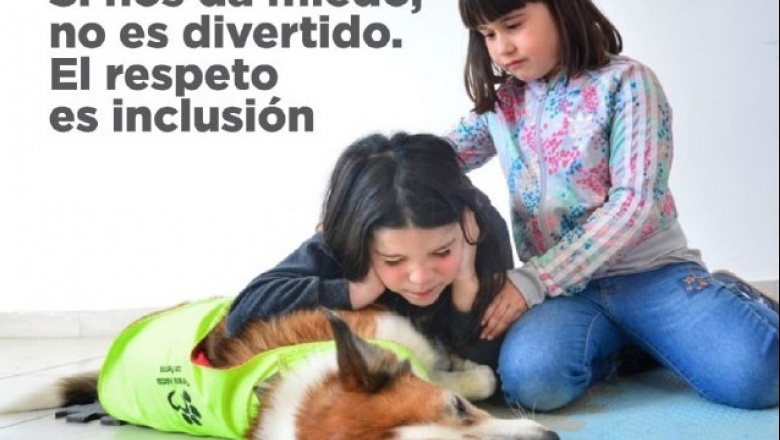 " Si nos da miedo, no es divertido": NO a la pirotecnia, afecta a autistas y mascotas