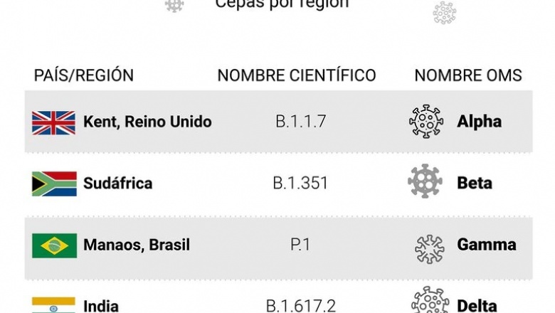 COVID-19: una por una, las particularidades de las cuatro variantes más peligrosas