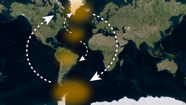 La cadena de interacciones de la que puede depender el futuro del planeta