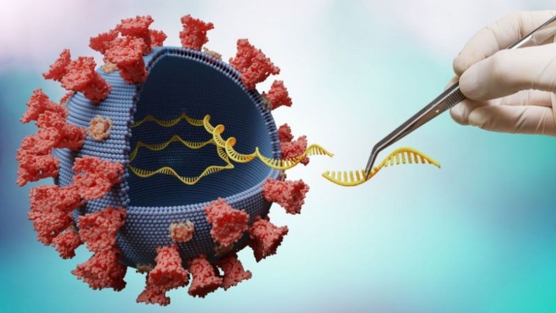 Delta: Las 5 mutaciones que hacen a esta variante del coronavirus más contagiosa y preocupante