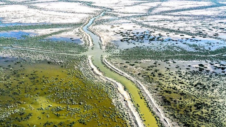 La escasez de agua está provocando cada vez más guerras en el mundo