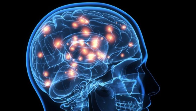 6 ejercicios que practica cada día la neurocientífica Wendy Suzuki para mejorar su fortaleza mental