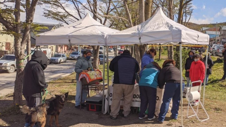 Masiva convocatoria de Zoonosis en Barrio Jardín