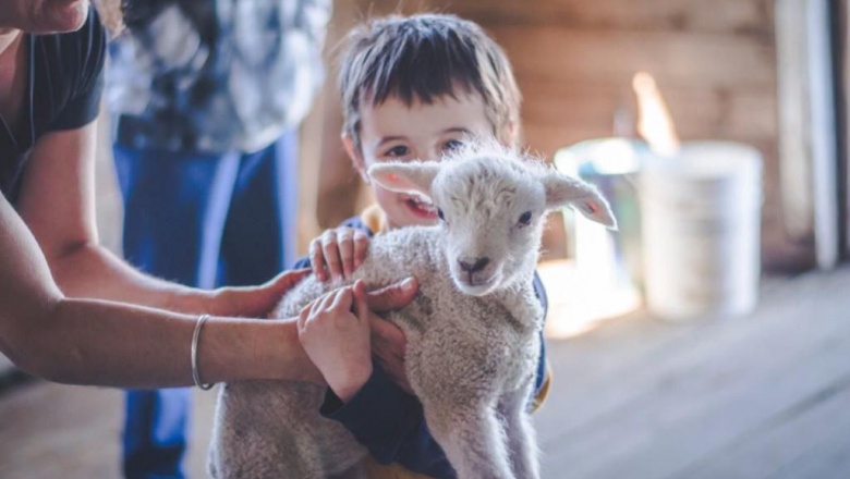 Niños y niñas de Terapia asistida con perros visitaron Estancia Sara