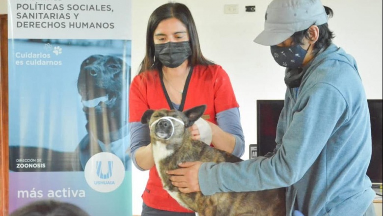 Continúa la capacitación a cuidadores caninos