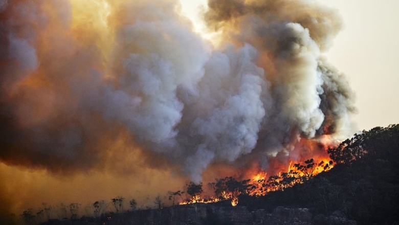 Vamos hacia un devastador aumento de la temperatura promedio global de 2,4 grados centígrados