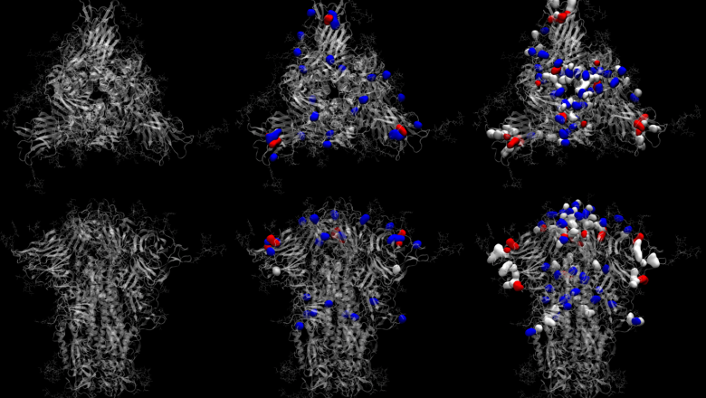 Mira al coronavirus en una gota minúscula