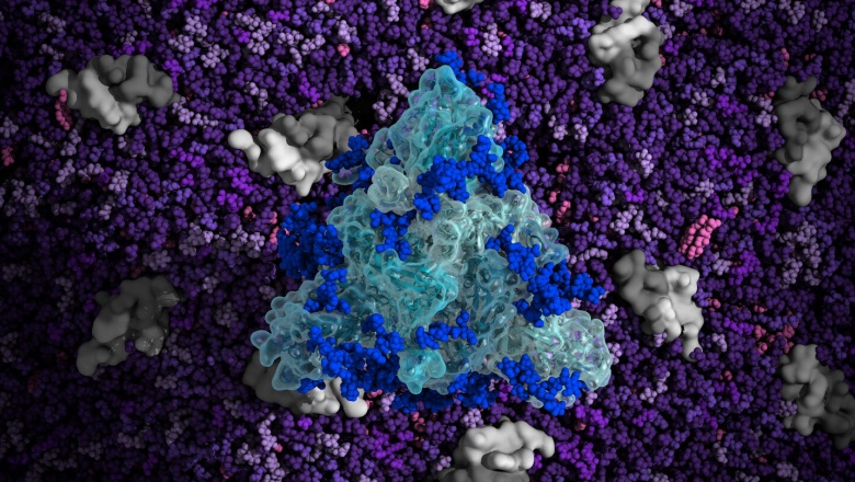 Mira al coronavirus en una gota minúscula