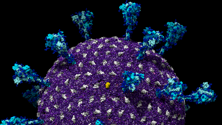 Mira al coronavirus en una gota minúscula