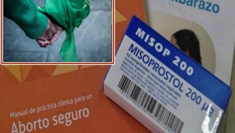 Tierra del Fuego la provincia donde mas abortos legales por cantidad de mujeres se realizaron en Argentina