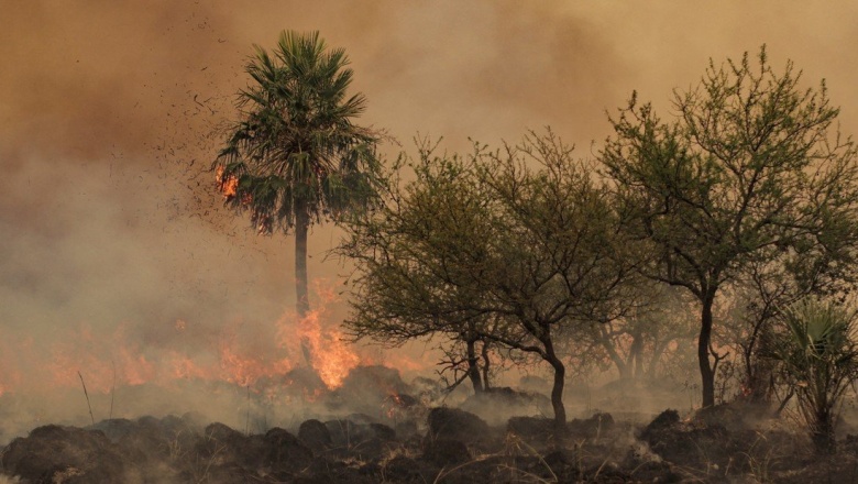 Incendios en Corrientes: Reciben ayuda de otras provincias y cada vez más gente se autoevacúa