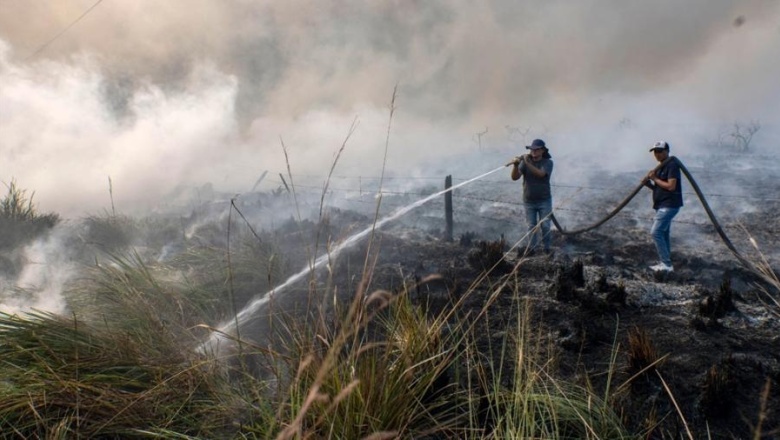 Estiman en más de $ 26.000 millones las pérdidas por los incendios en Corrientes