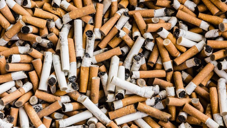 Exitosa campaña: Mas de 35.000 colillas recolectadas en la primera quincena de Marzo