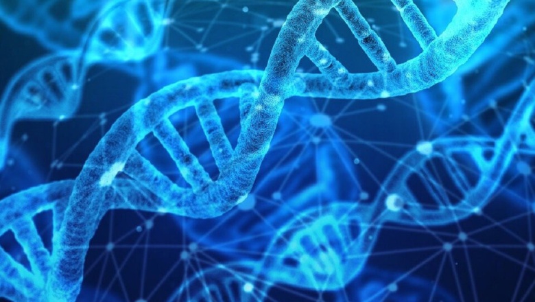 Un equipo científico internacional decodificó el genoma humano completo